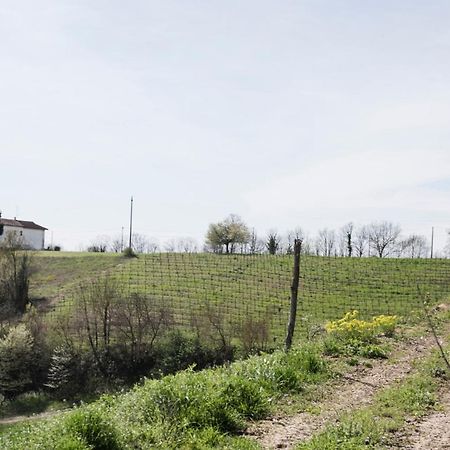 Agriturismo Cascina Cerola Villa Fubine Exterior foto