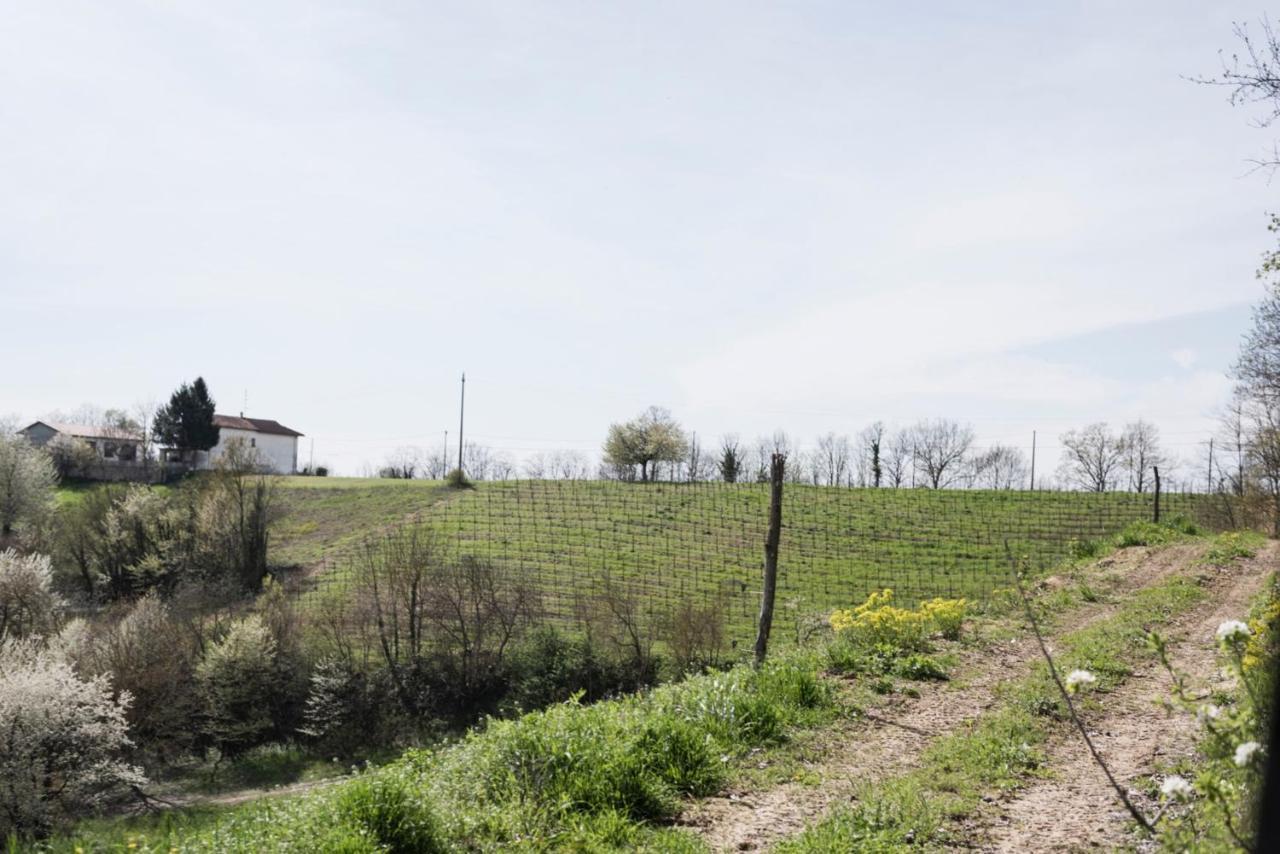 Agriturismo Cascina Cerola Villa Fubine Exterior foto